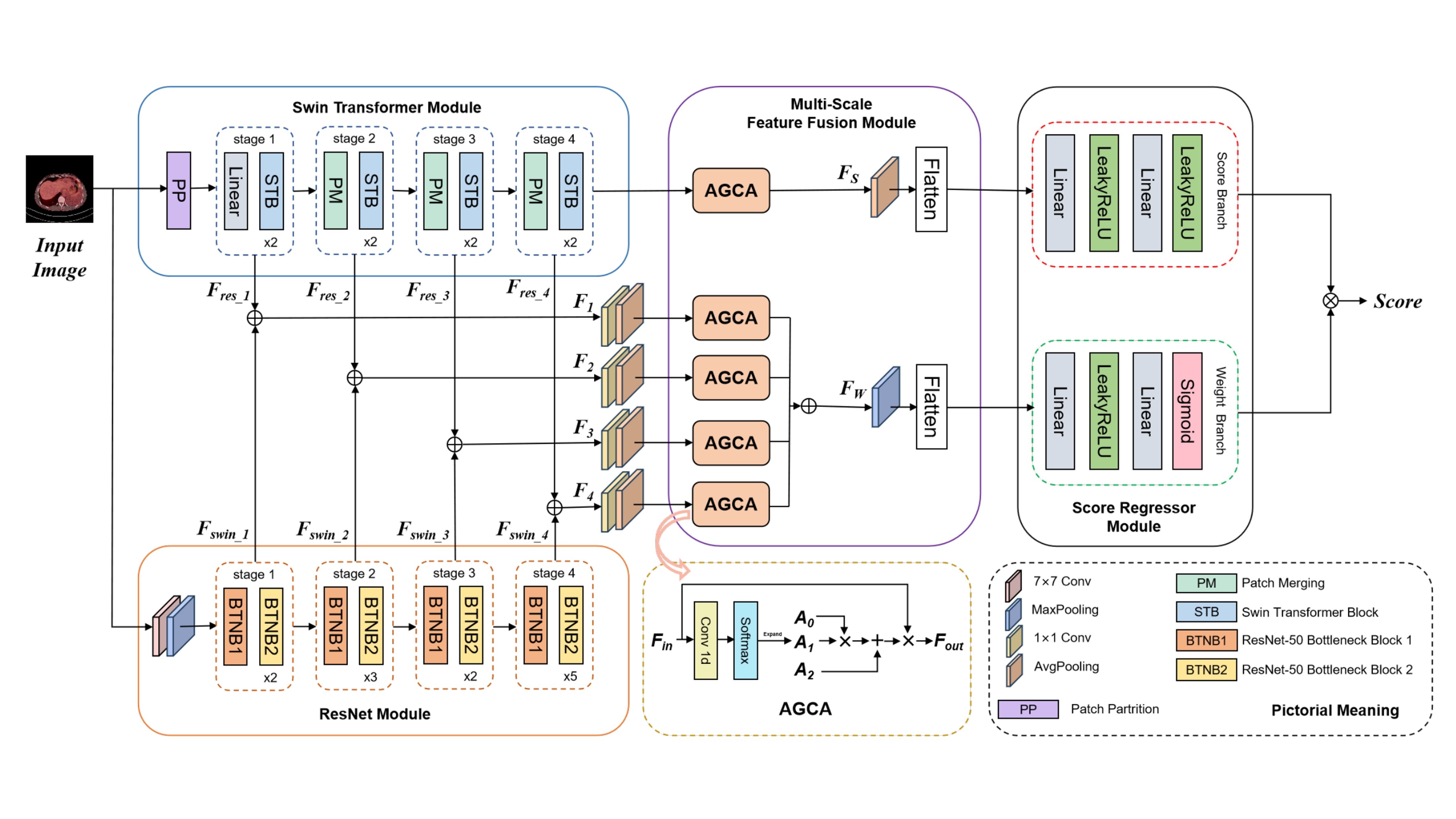 Architecture of the MS-IQA network.